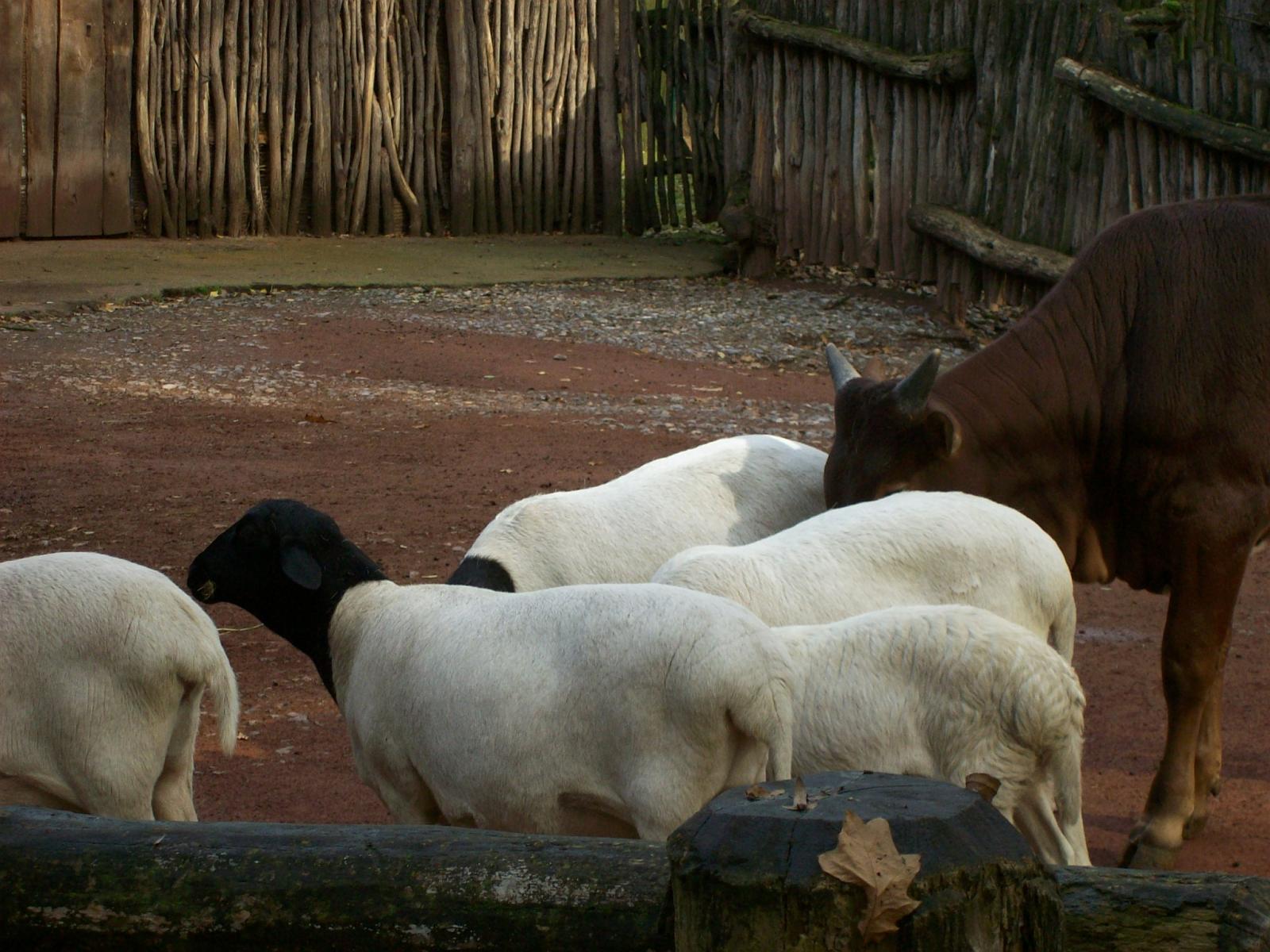 Zoom 18.10.2008-031.jpg